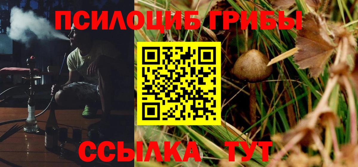 Alpha PVP Ленинск-Кузнецкий