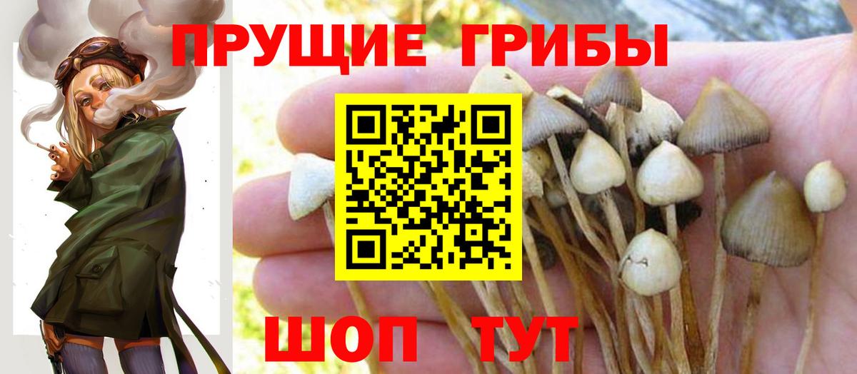 Галлюциногенные грибы мухоморы Ленинск-Кузнецкий